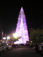 もみの木型　30m クリスマスツリー