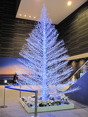 東京ソラマチ　5m クリスマスツリー