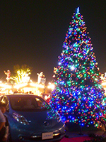 東京スカイツリー　6m クリスマスツリー