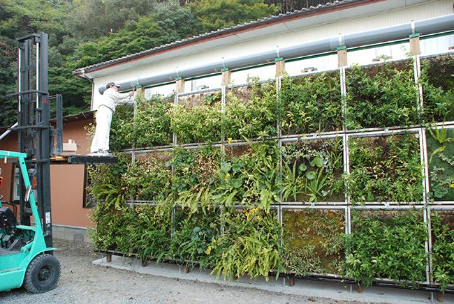 2015年10月 壁面緑化 制作風景