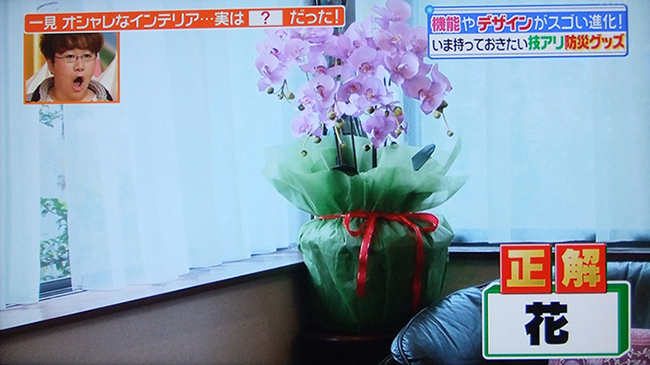 2013年10月 日本テレビ「ヒルナンデス！」にて紹介