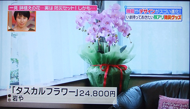 2013年10月 日本テレビ「ヒルナンデス！」にて紹介