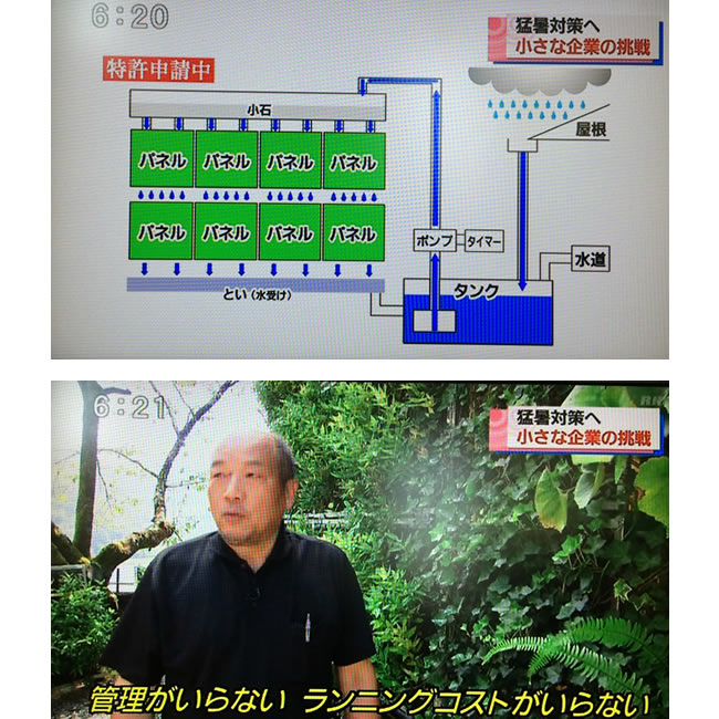 RKC放送「こうちeye」にて弊社の「壁面緑化」事業への取り組みを紹介