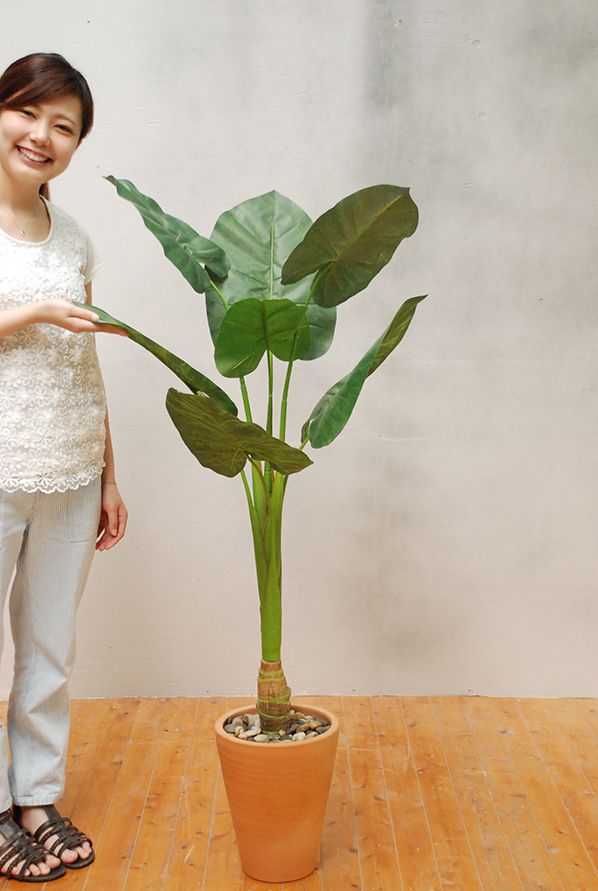 フェイクグリーン 観葉植物 クワイズモ 約幅57×奥行57×高さ117cm