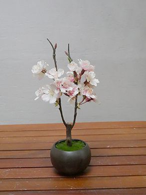 三谷龍二 桜 盆 10寸 30センチ-