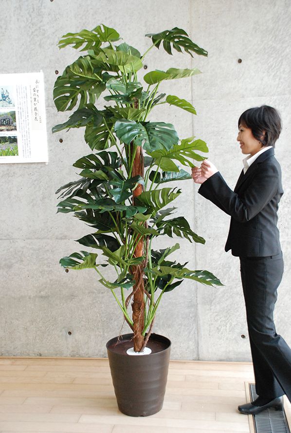 スプリットフィロ GW-134 210cm 植える加夢シリーズ【造花専門店 岩や】