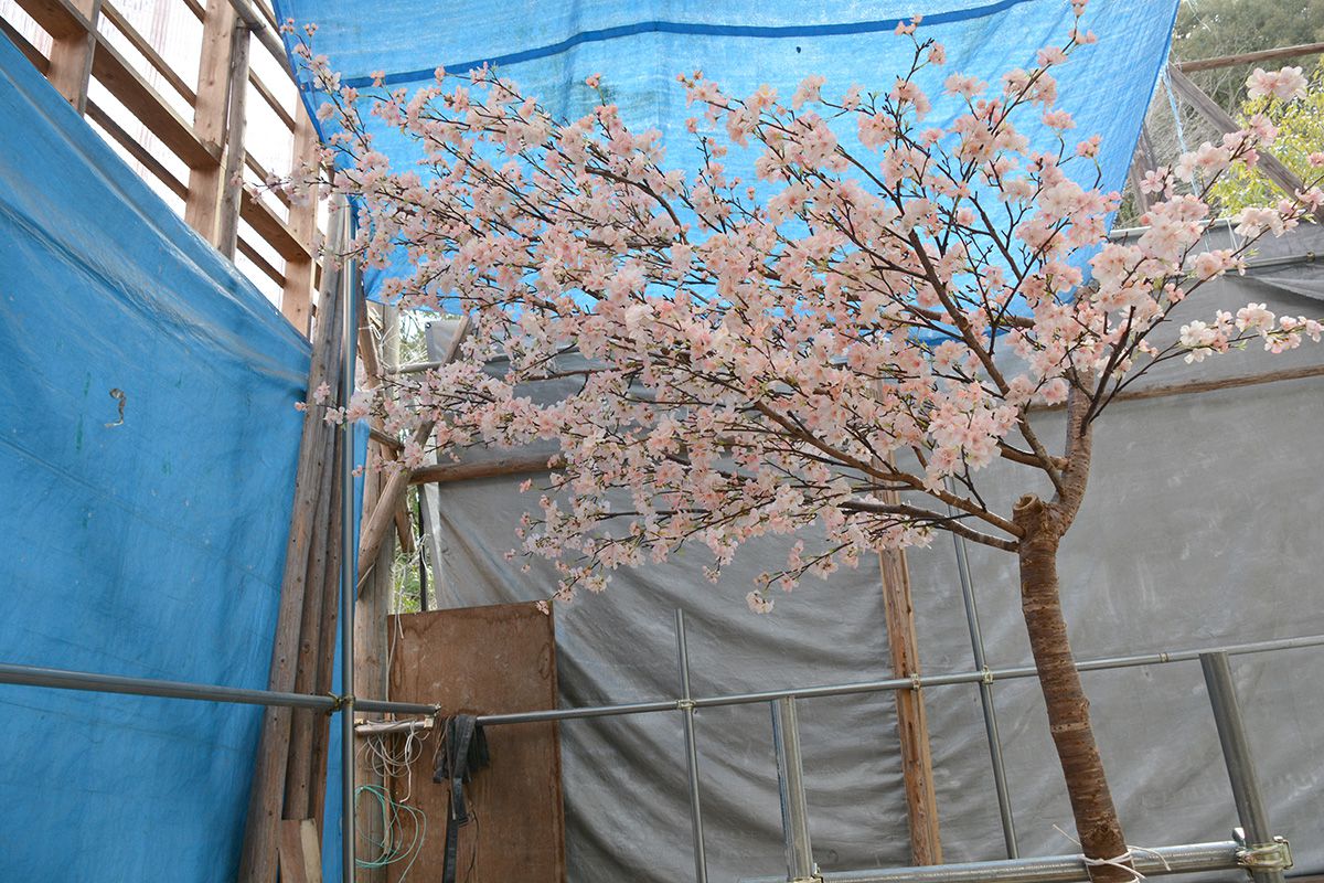 2018年2月 青森県 バー 人工桜 高さ2.5m 幅2.5m